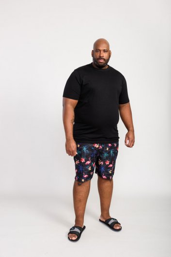 CAMPTON-D555 Flamingo And Palm Tree Printed Swim Shorts-Black-4XL