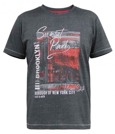 BRAMFIELD-D555 Sunset Park Brooklyn Printed T-Shirt-Black-4XL