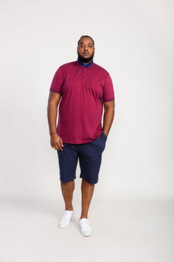 WIGBOROUGH-D555 Fine Stripe Jersey Polo With Chest Pocket-Kingsize Assorted Pack B-(3XL-6XL)