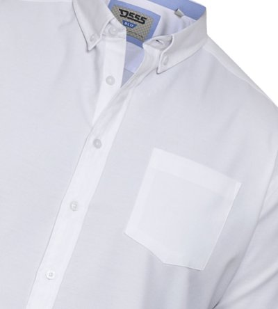 RICHARD-D555 Basic Oxford Long Sleeve Shirt-Blue