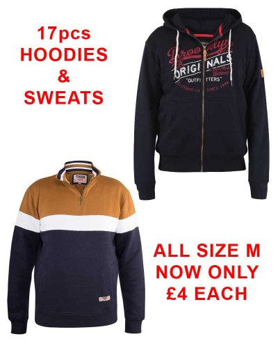 Assorted Sweats & Hoodies bundle of 17 pcs in 2 different styles all size M